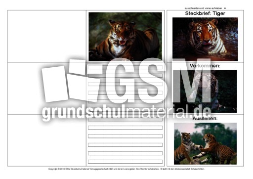 Flip-Flap-Tiger-2.pdf